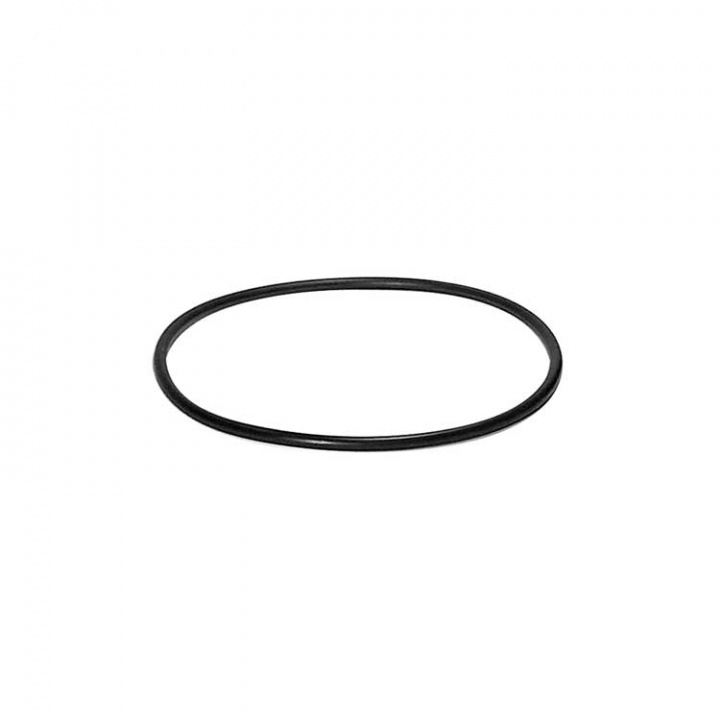 O-Ring (54029)