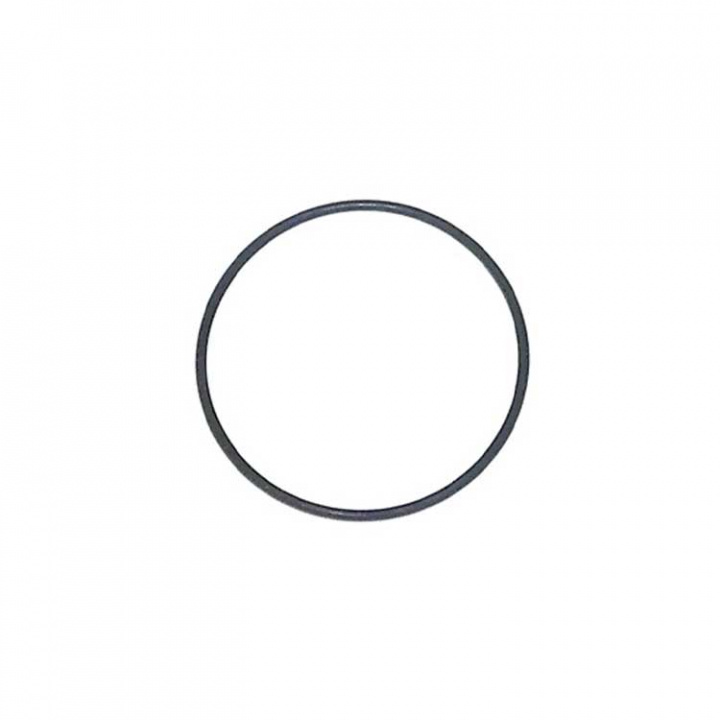 O-Ring (62700)