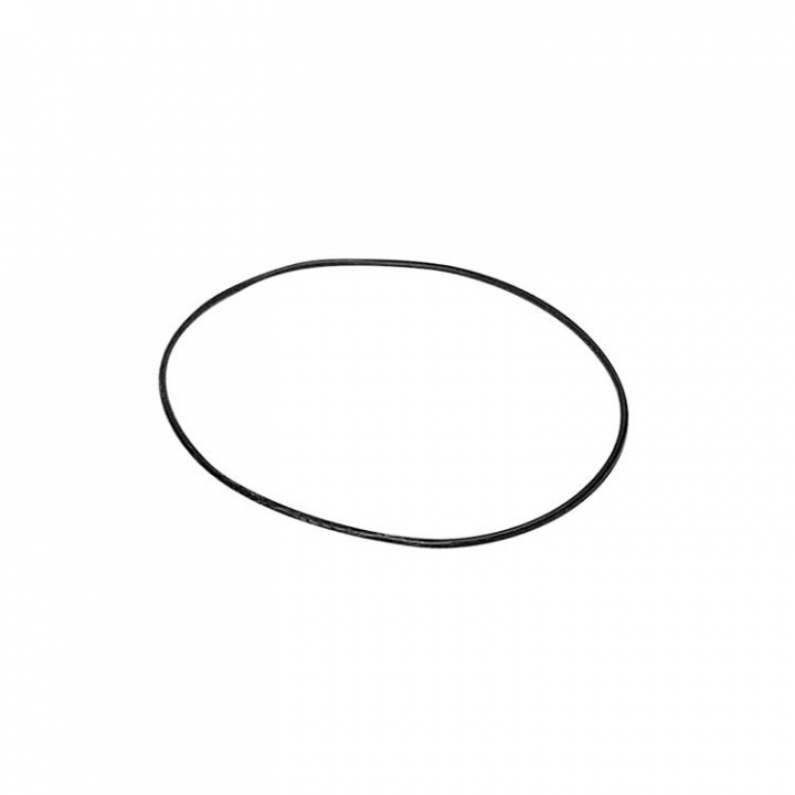 O-Ring (67207)