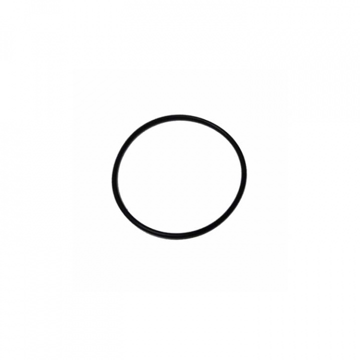 O-Ring (69202)
