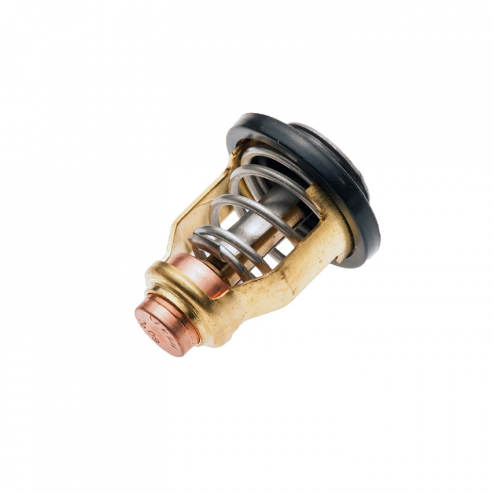 Termostat Yamaha 200-300 hk (6CE124110000)