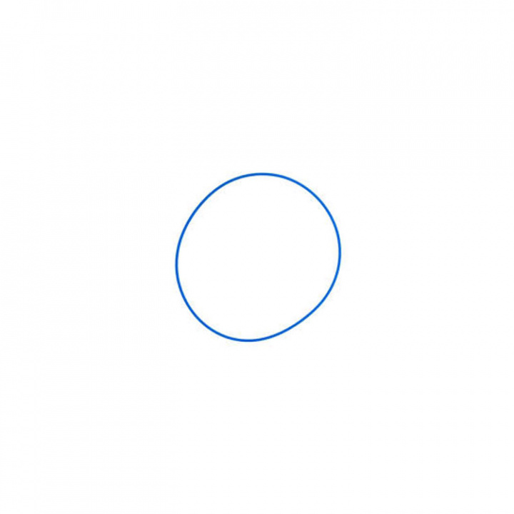 O-Ring Mercruiser CMD (884028001)