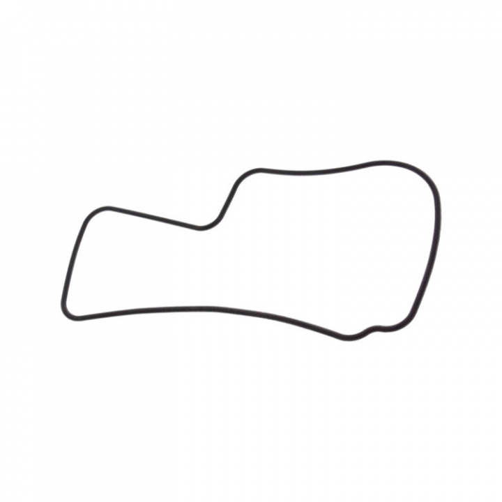 O-Ring Mercury 30-60 hk (892267530)