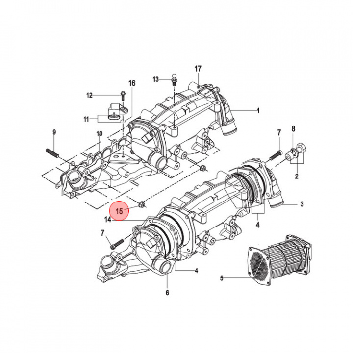Mutter Mercruiser CMD (898101772)