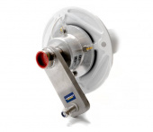 Classic Cobra Cruising Classic Cobra Cruising