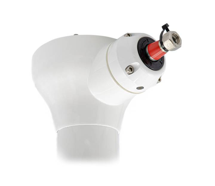 Classic Cobra Cruising