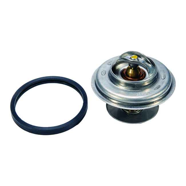 Termostat Med O-ring (8M0093561)