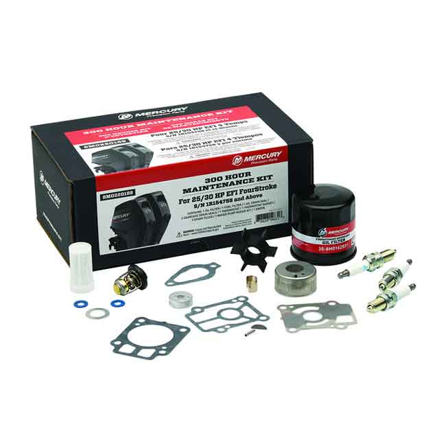 Servicesats 300h F25-30 hk EFI (8M0220189)