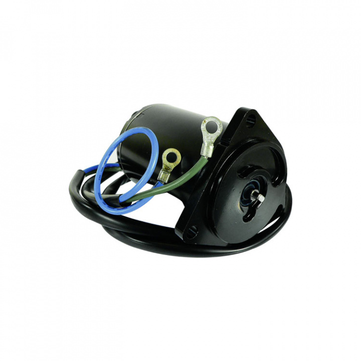 Tilt/Trim Motor Yamaha (8M6014138)