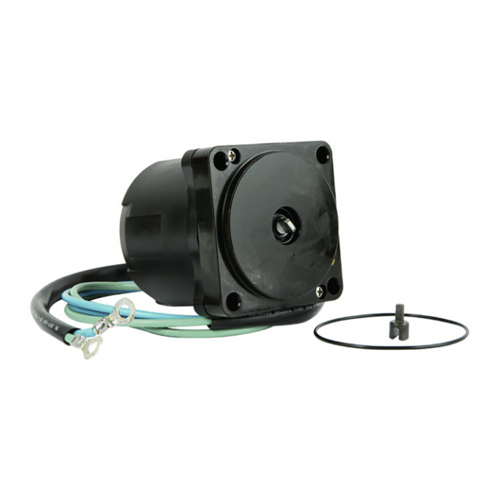 Tilt/Trim Motor Yamaha (8M6014136)