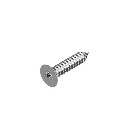 Skruv FTS Torx A4 TX20-4.2x32 (500-pack)