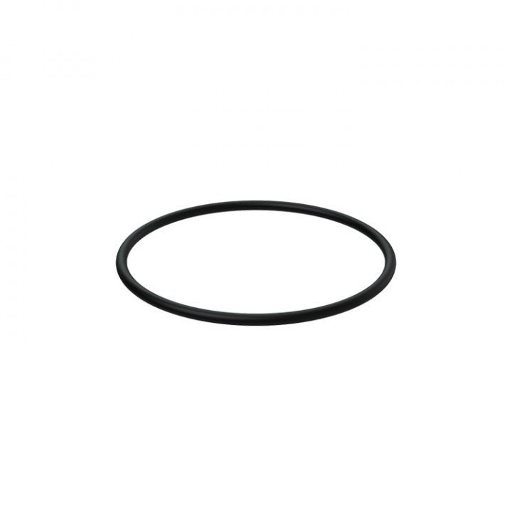 O-Ring (956000)