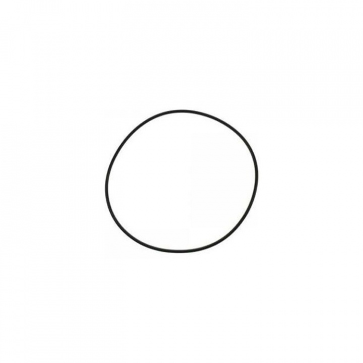 O-Ring (97387)