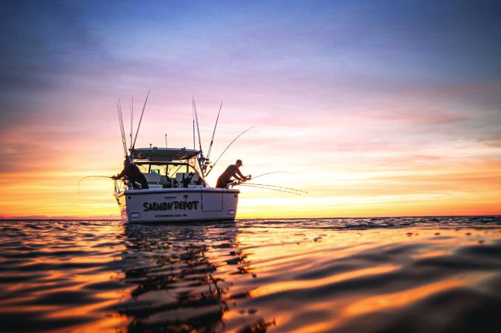 Cannon Optimum Djuprigg